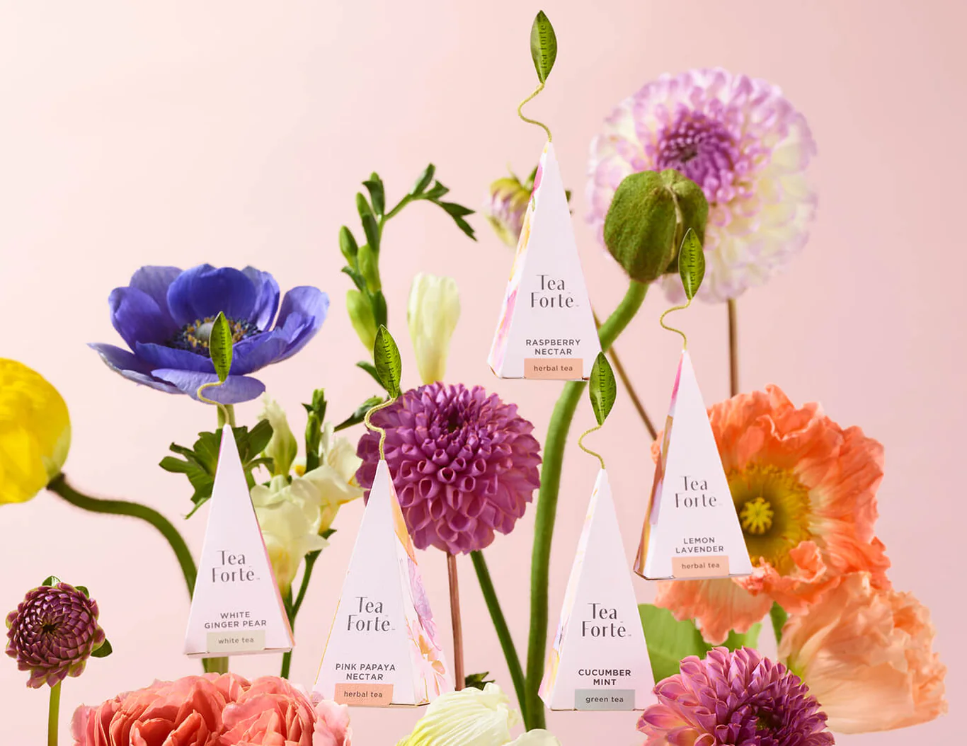 PETITE PRESENTATION BOX MARIPOSA - Image 5